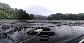 ca88手机客户端(安卓/苹果)CA88会员登录入口